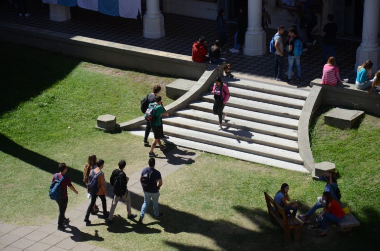 Lee más sobre el artículo Programas y Proyectos