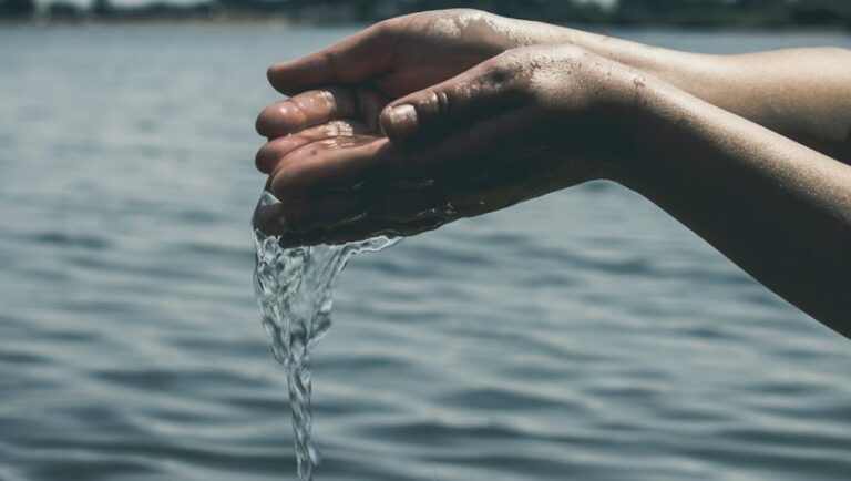 Lee más sobre el artículo Cuidar el agua es clave