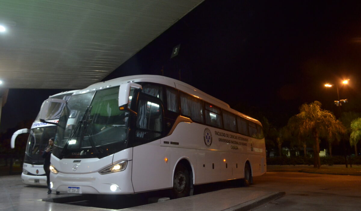 omnibus