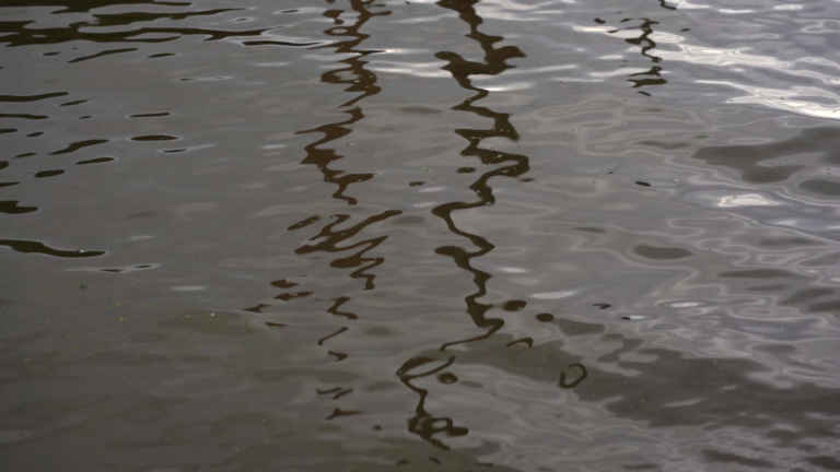 Lee más sobre el artículo Acción poética: La voz del agua, porque ya es tiempo