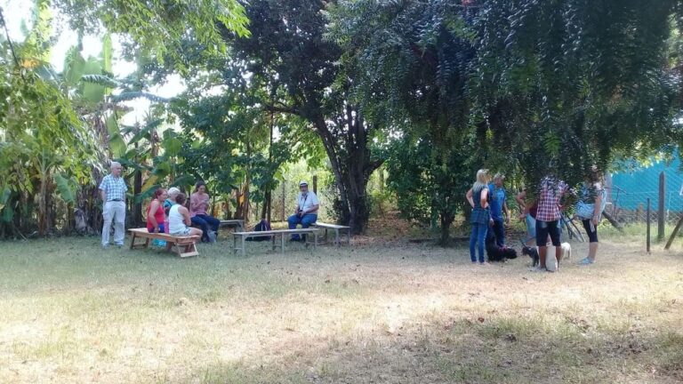 Lee más sobre el artículo <strong>Salud. Ciudadanía ambiental. Buen Vivir.</strong>