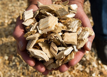 Lee más sobre el artículo Energías Renovables – Biomasa