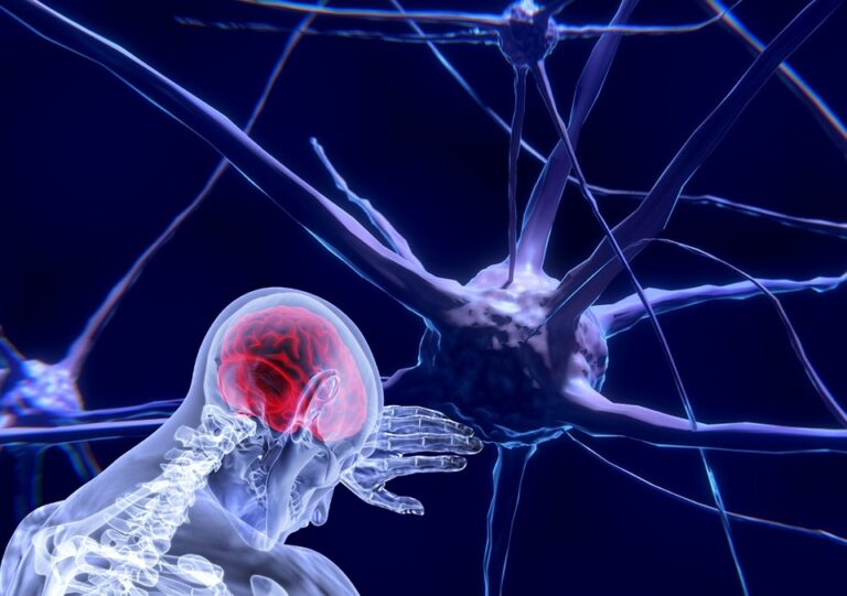 Lee más sobre el artículo <strong>Psiconeuroendocrinoinmunología.</strong>