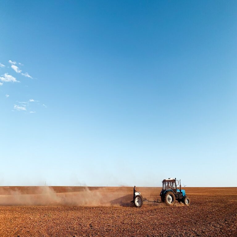 Lee más sobre el artículo Monitor sector agropecuario | diciembre 2020