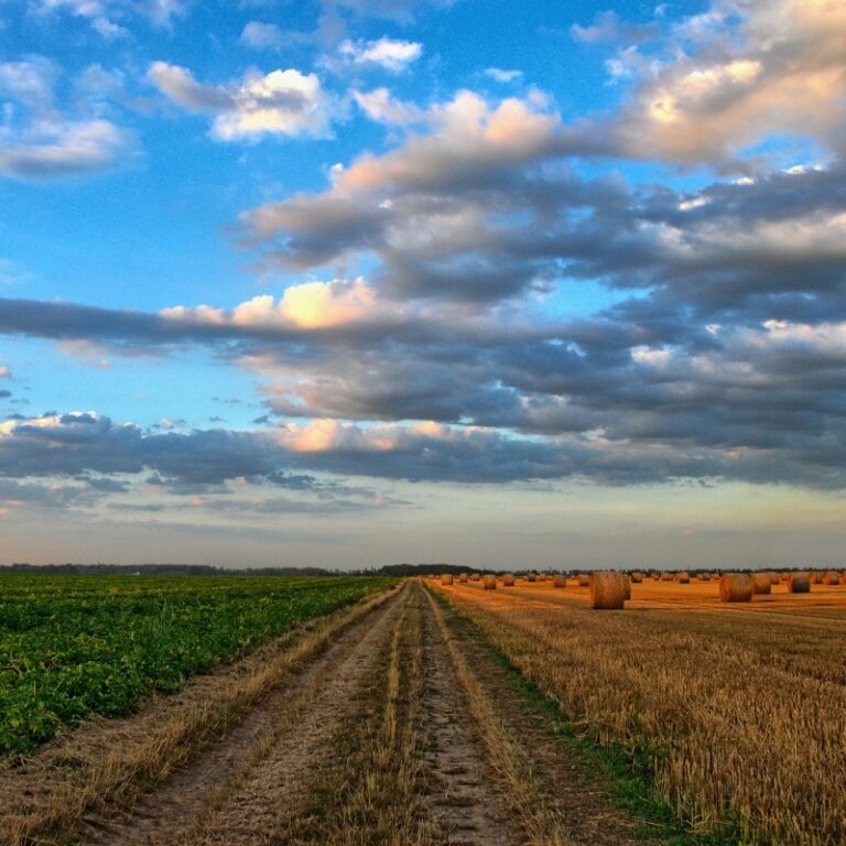 Lee más sobre el artículo Agrícola y Molienda | Santa Fe, Argentina y el Mundo