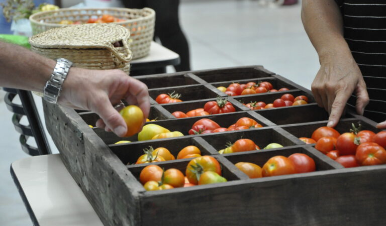 Lee más sobre el artículo “Super tomates”, una mezcla de ciencia y sabor