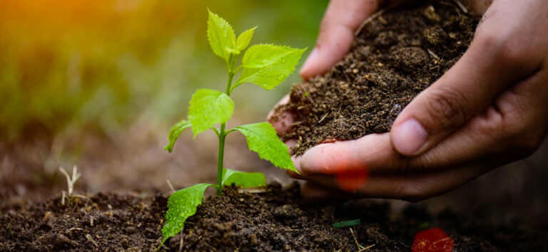 Lee más sobre el artículo Seminario: Sistemas Alimentarios Agroecológicos