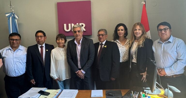 Lee más sobre el artículo Universidad Nacional de Juliaca