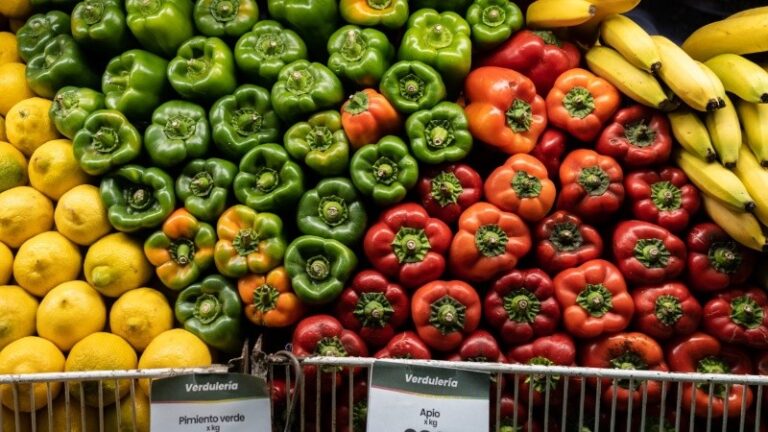 Lee más sobre el artículo Charla por el Día Internacional de la Alimentación