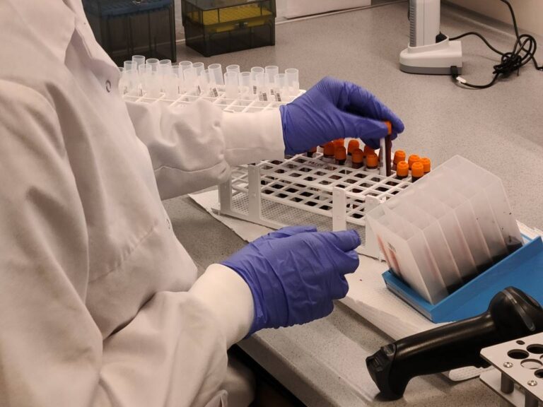 Lee más sobre el artículo Los Biobancos