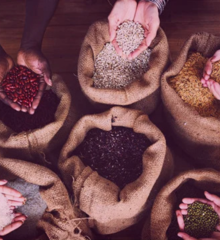 Lee más sobre el artículo Diplomatura en Nutrición y Salud Pública