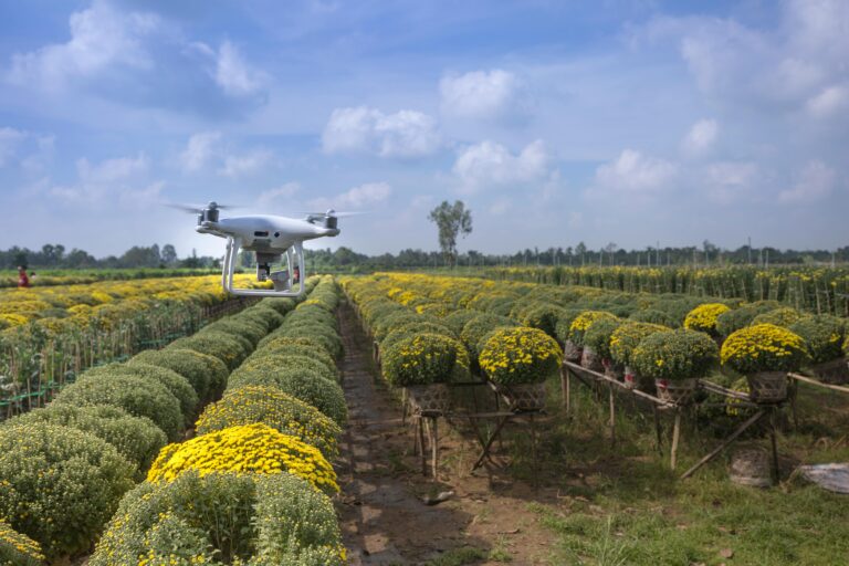 Lee más sobre el artículo Las geotecnologías en acción para el Agro