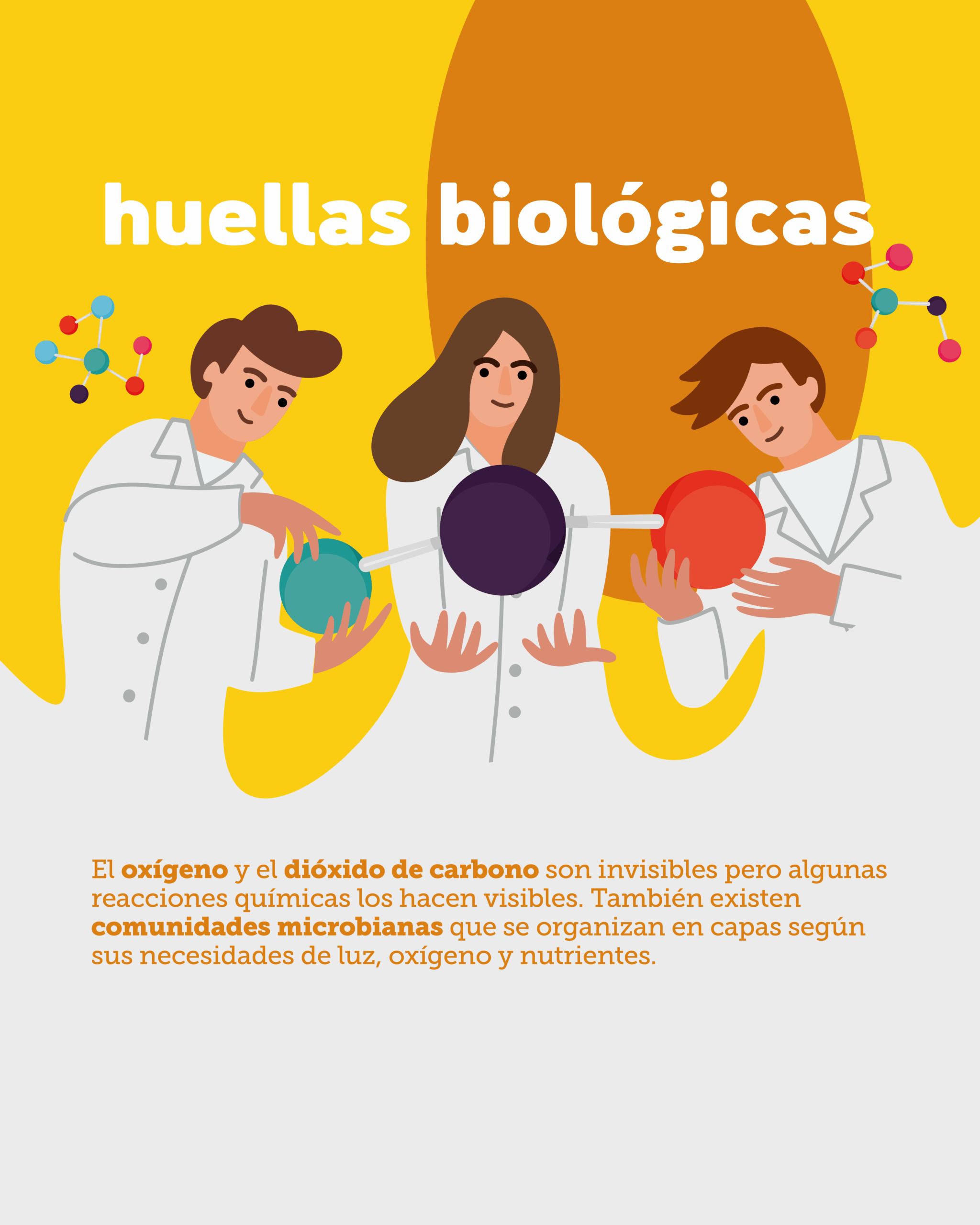 Visible lo invisible 2025_biológicas