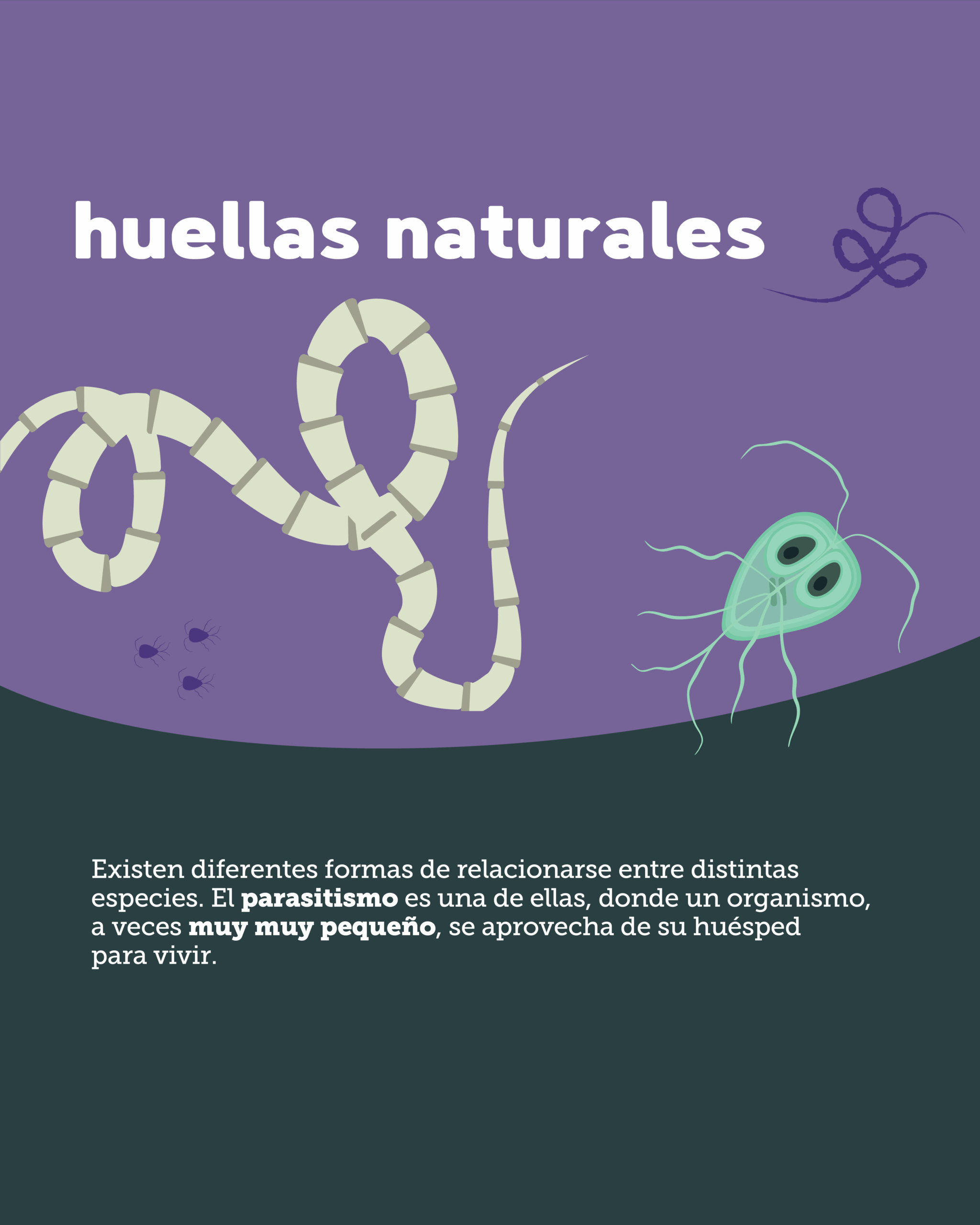 Visible lo invisible 2025_naturales