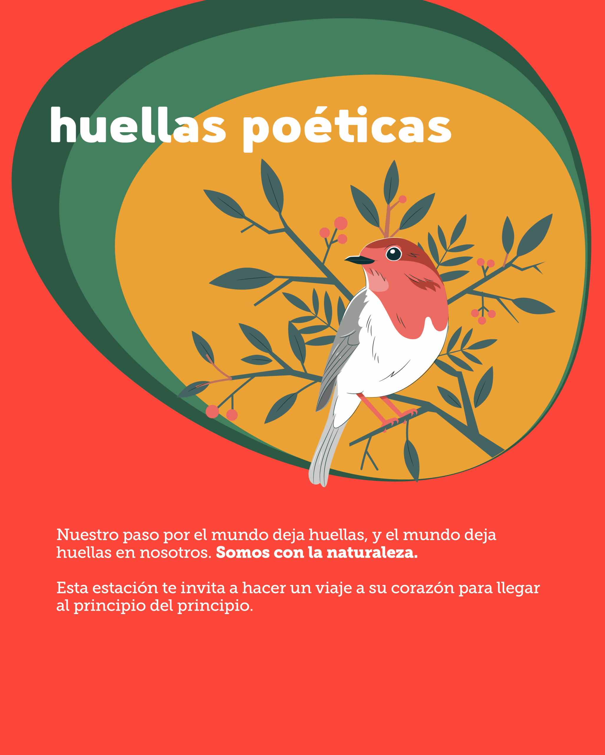 Visible lo invisible 2025_poéticas