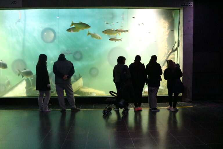 Lee más sobre el artículo Viaje a las profundidades del río Paraná