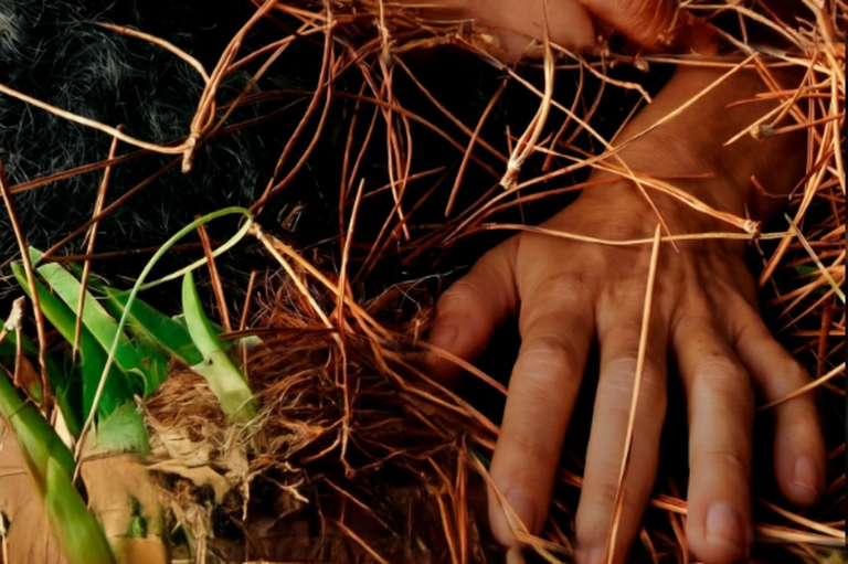 Lee más sobre el artículo Diplomatura en Investigaciones de y desde los Cuerpos