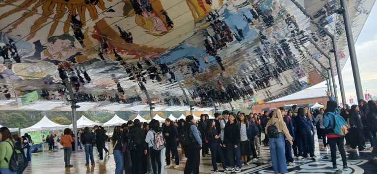 Lee más sobre el artículo Festival Ambiental