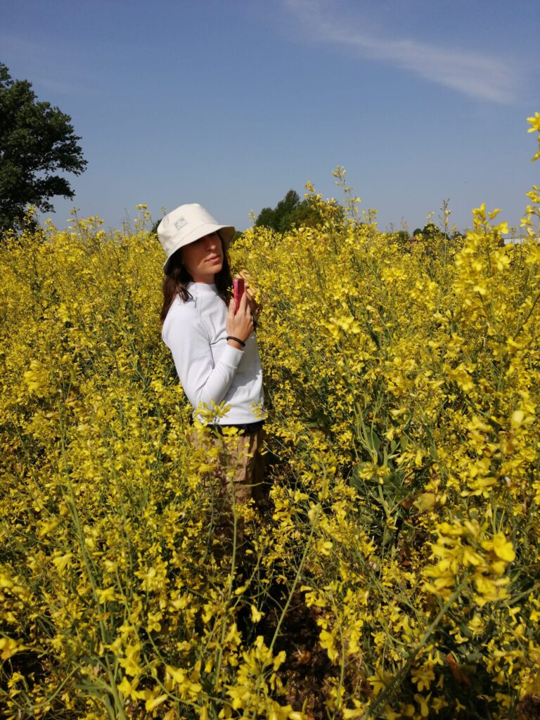 Lee más sobre el artículo Las abejas nativas multiplican las cosechas