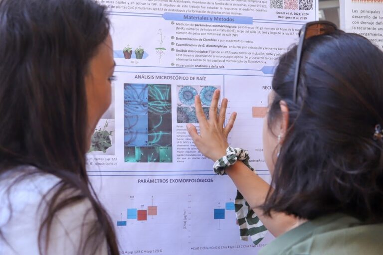 Lee más sobre el artículo Jornadas de Ciencias, Tecnologías e Innovación 2026