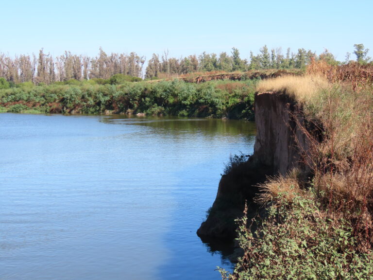 Lee más sobre el artículo Informe de situación río Carcarañá