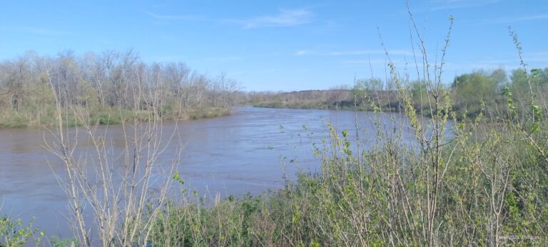 Lee más sobre el artículo Inundaciones en el río Carcarañá