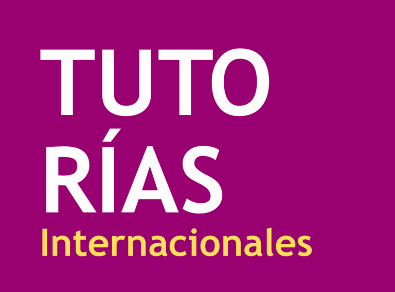 Lee más sobre el artículo Reunión con Tutores Internacionales