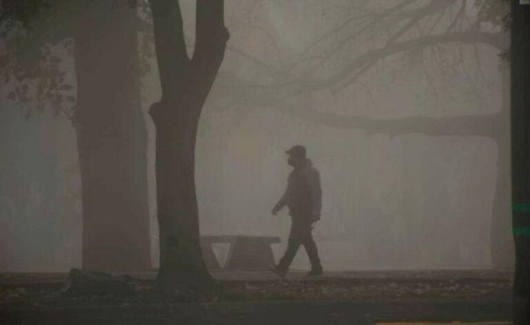 Lee más sobre el artículo Informe Técnico: Incendios en las Islas – 2020