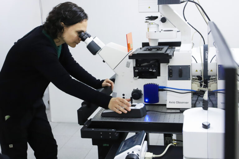 Lee más sobre el artículo Sigue abierta la inscripción al Programa de Posdoctoración