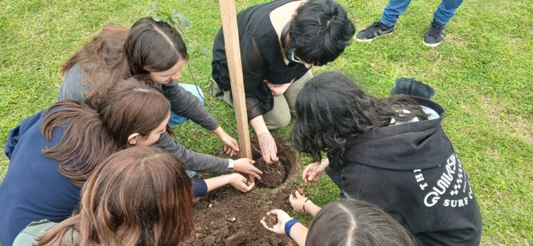 Lee más sobre el artículo Plantación de nativas en La Siberia
