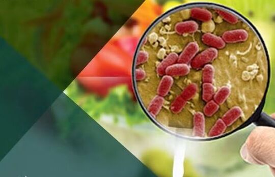 Lee más sobre el artículo Seminario Epidemiología aplicada a la Seguridad Alimentaria