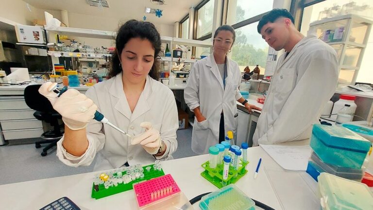 Lee más sobre el artículo Innovador test de diagnóstico del dengue