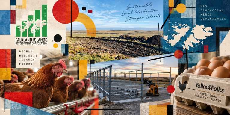 Lee más sobre el artículo Producir alimentos en la colonial británica en Malvinas para reducir la dependencia externa.